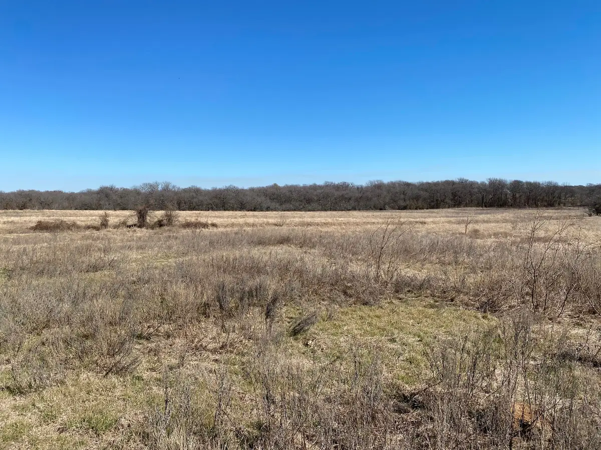 Lot 3 Se Cr 2220, Corsicana, TX 75109 - #1