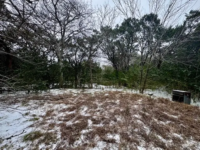 262 Palomino Loop, Whitney, TX 76692 - #1