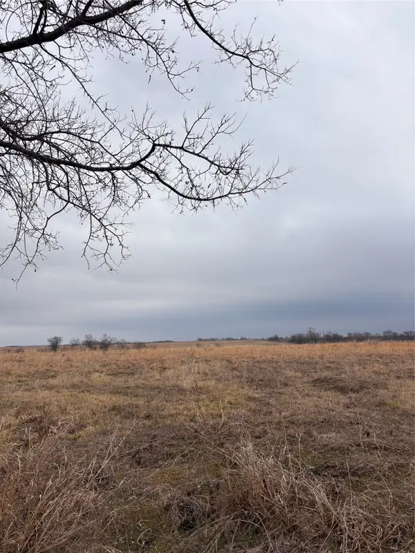 TBD County Road, Pecan Gap, TX 75469