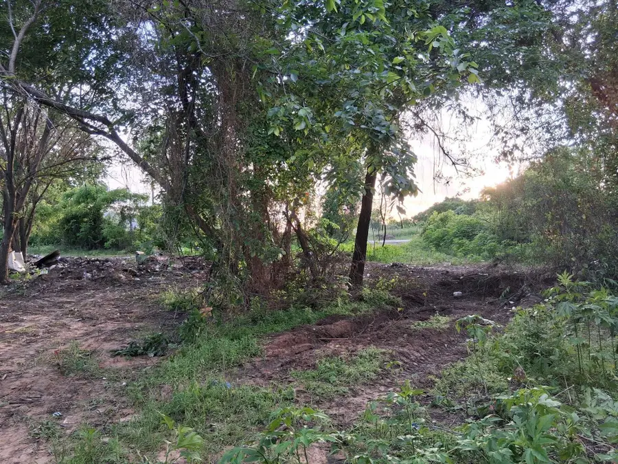 1247 County Road 4590, Boyd, TX 76023 - #2