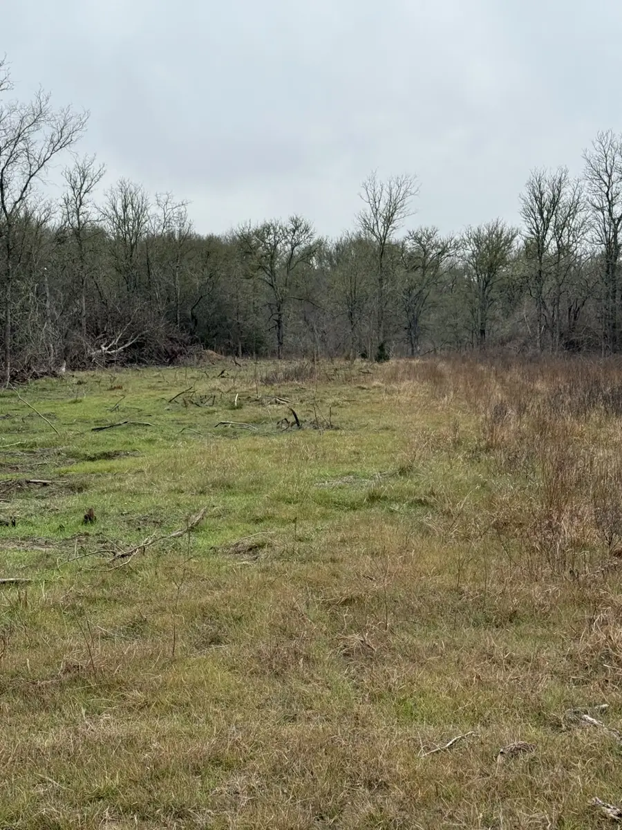 251 Lcr 658, Thornton, TX 76687 - #3