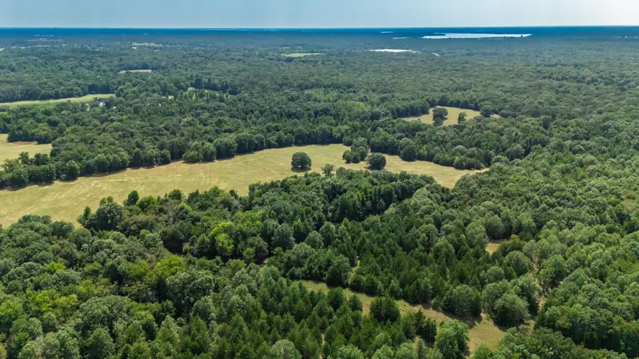 21 Acres Fm 69, Quitman, TX 75783 - Image #2