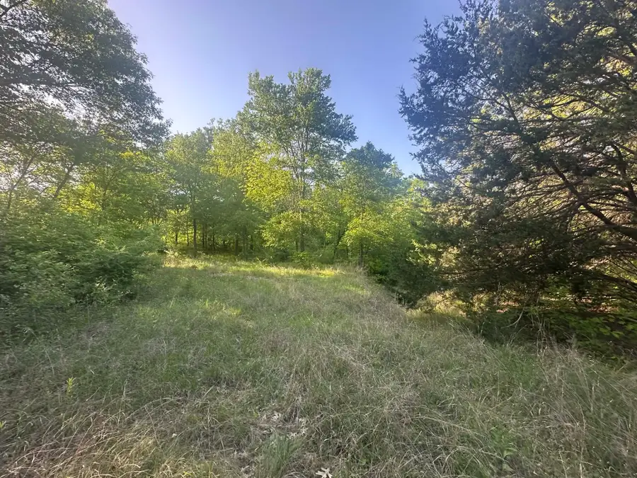 301 W Brand Road, Garland, TX 75040 - #2