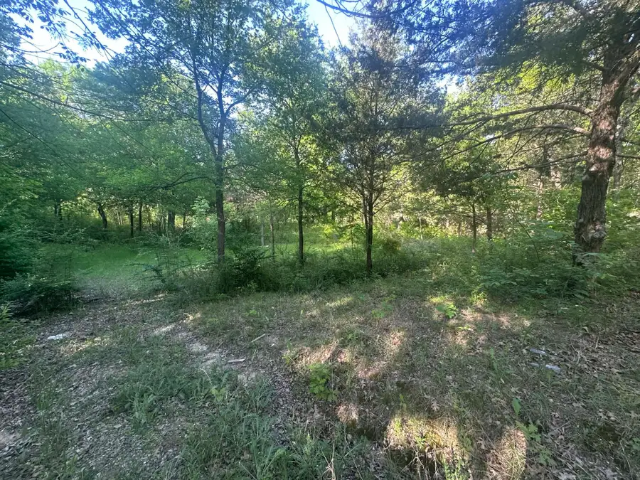 301 W Brand Road, Garland, TX 75040 - #3