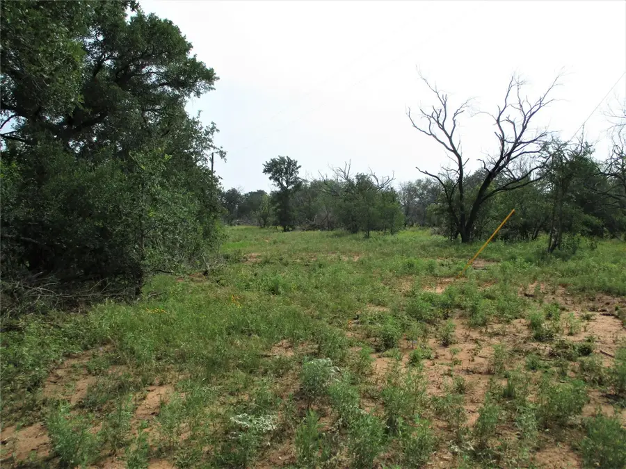 TR 1 Hoffman Road, Loving, TX 76460 - #3