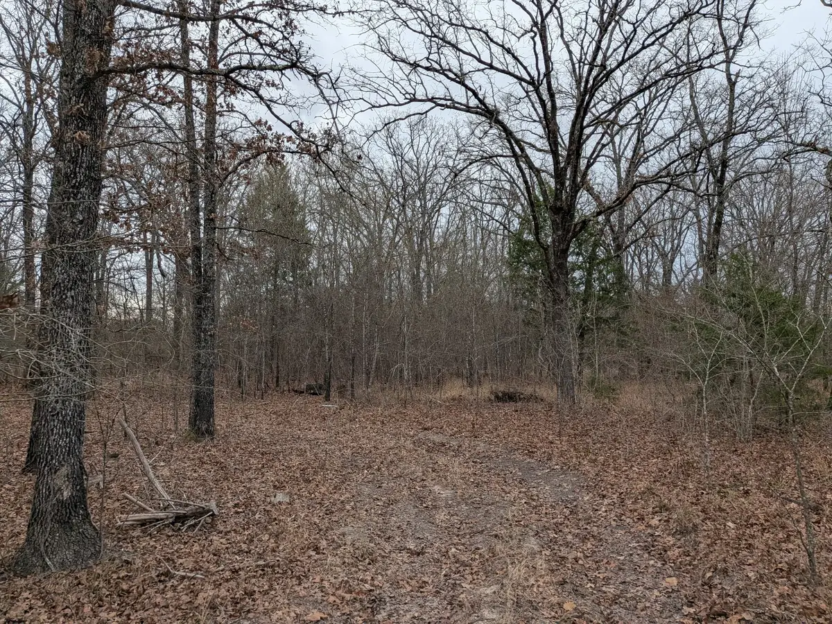 179 Rs County Road 2572, Alba, TX 75410 - #1