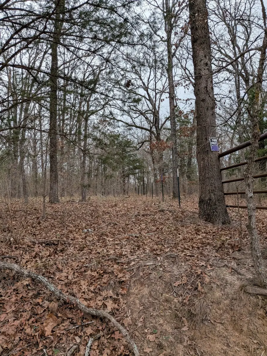 179 Rs County Road 2572, Alba, TX 75410 - #2