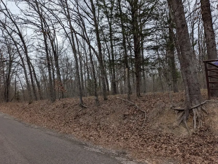 179 Rs County Road 2572, Alba, TX 75410 - #3