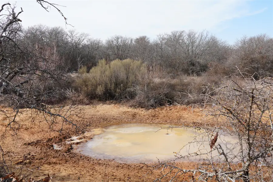 TBD Hwy 206, Cisco, TX 76437 - #2