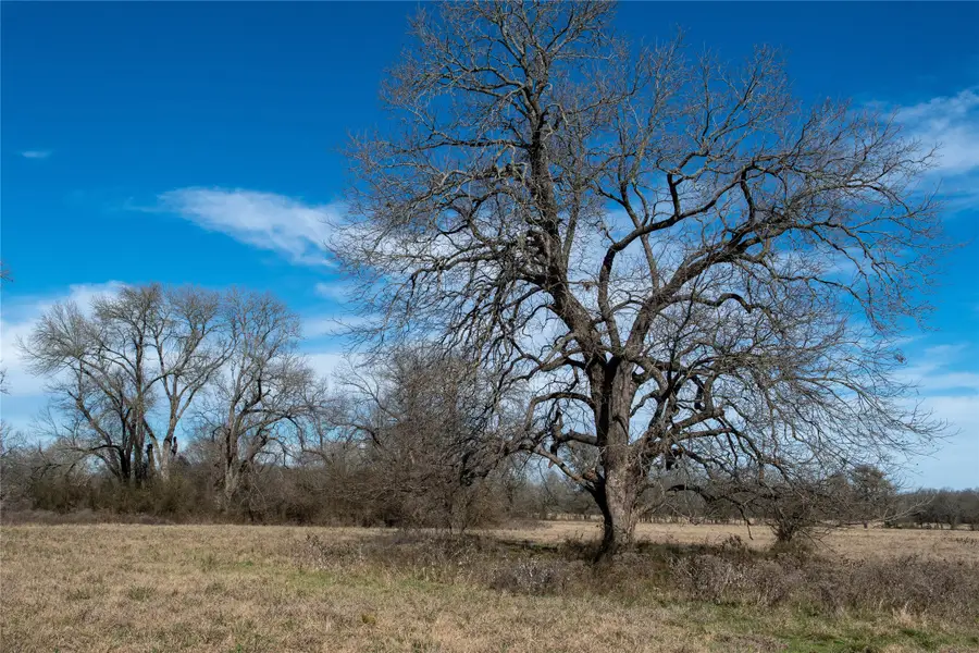 0 Lcr 412, Groesbeck, TX 76642 - Image #3