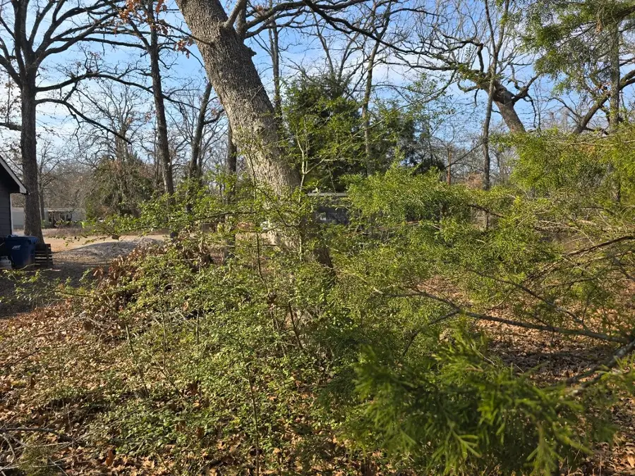 320 Double Bridge Road, Mabank, TX 75156 - Image #3