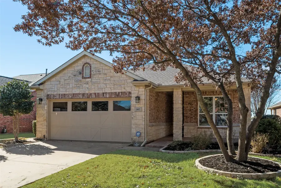 987 Burnswick Isles Way, Frisco, TX 75036 - Image #3