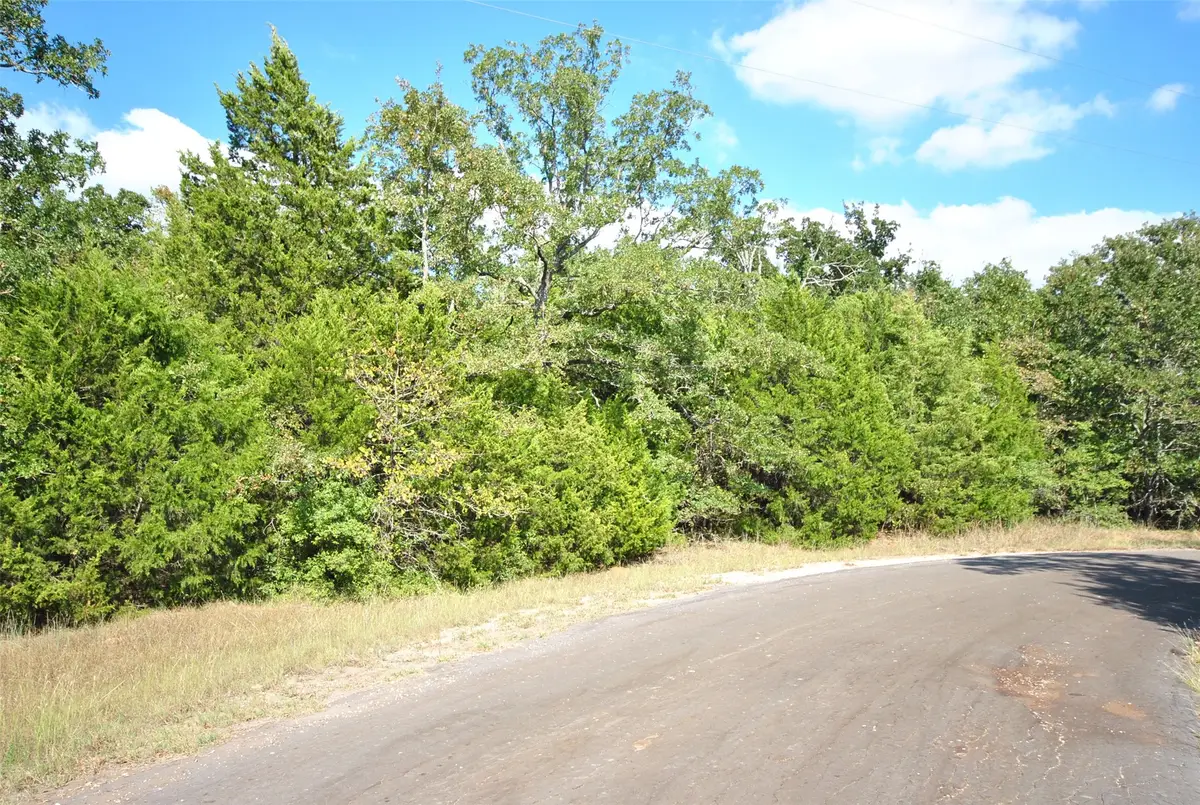 0 Lot 24 Lcr 910 Drive, Jewett, TX 75846 - Image #1