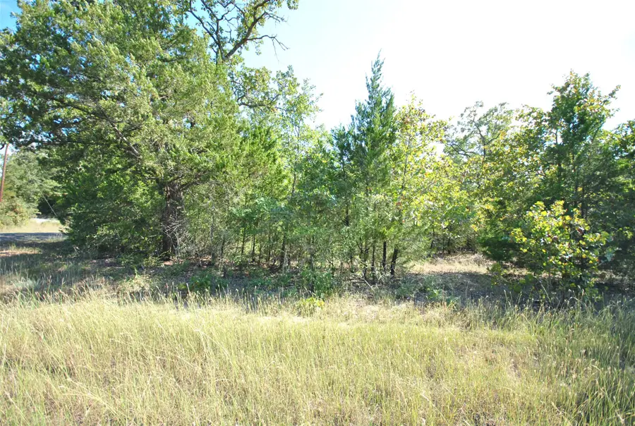0 Lot 24 Lcr 910 Drive, Jewett, TX 75846 - Image #3