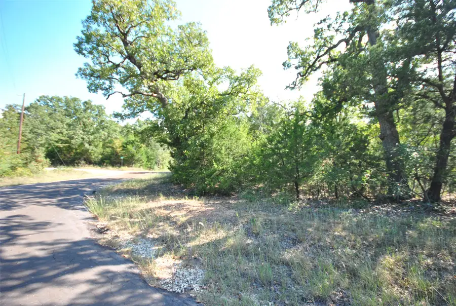 Lot 76 County Road 894 Drive, Jewett, TX 75846 - #3