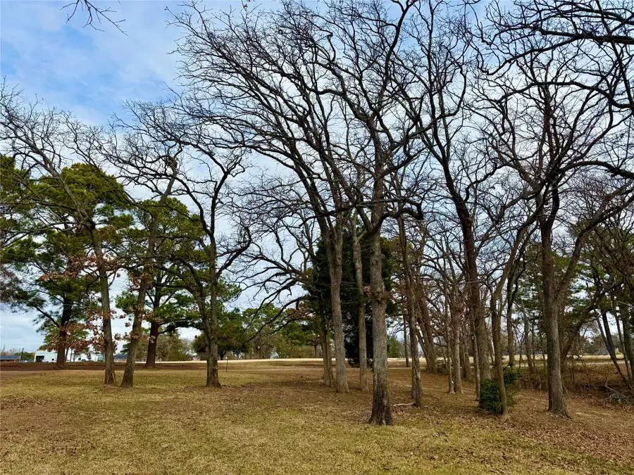 0 Shoreline, Cedar Creek Lake, TX 75148 - #2