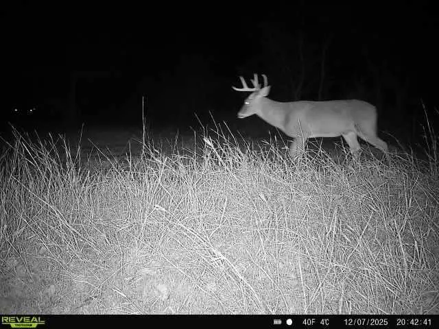 0000 County Road 4522, Decatur, TX 76234 - #3