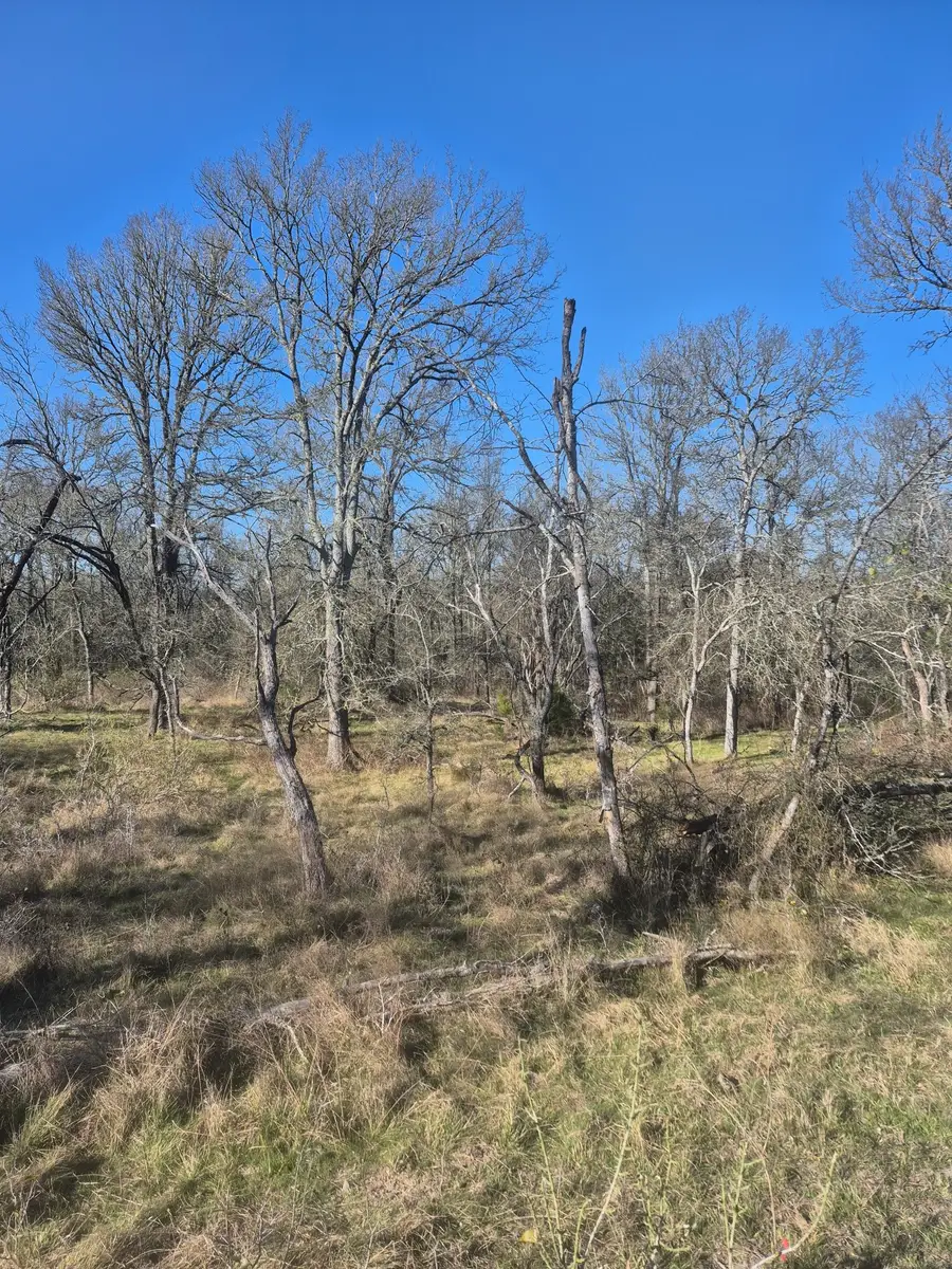 474 Fm 2958, Marlin, TX 76661 - Image #2