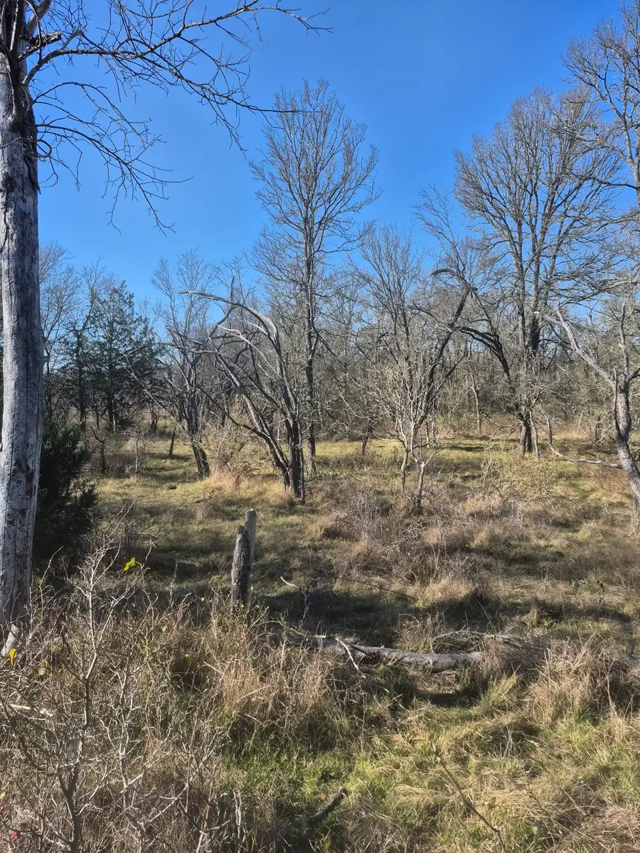 474 Fm 2958, Marlin, TX 76661 - Image #3