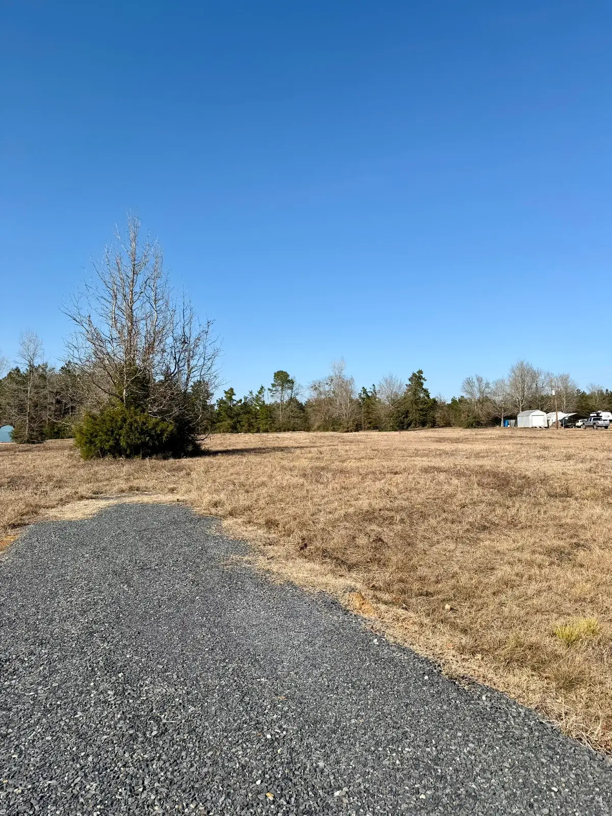 0 Highway 84, Logansport, LA 71049 - #1