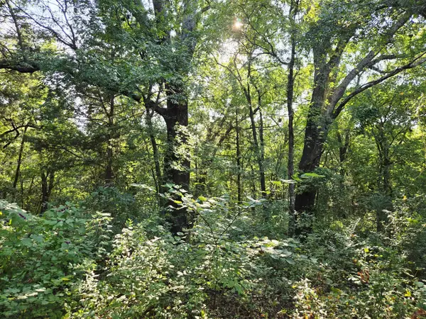 347 Copper Branch Road, Whitesboro, TX 76273