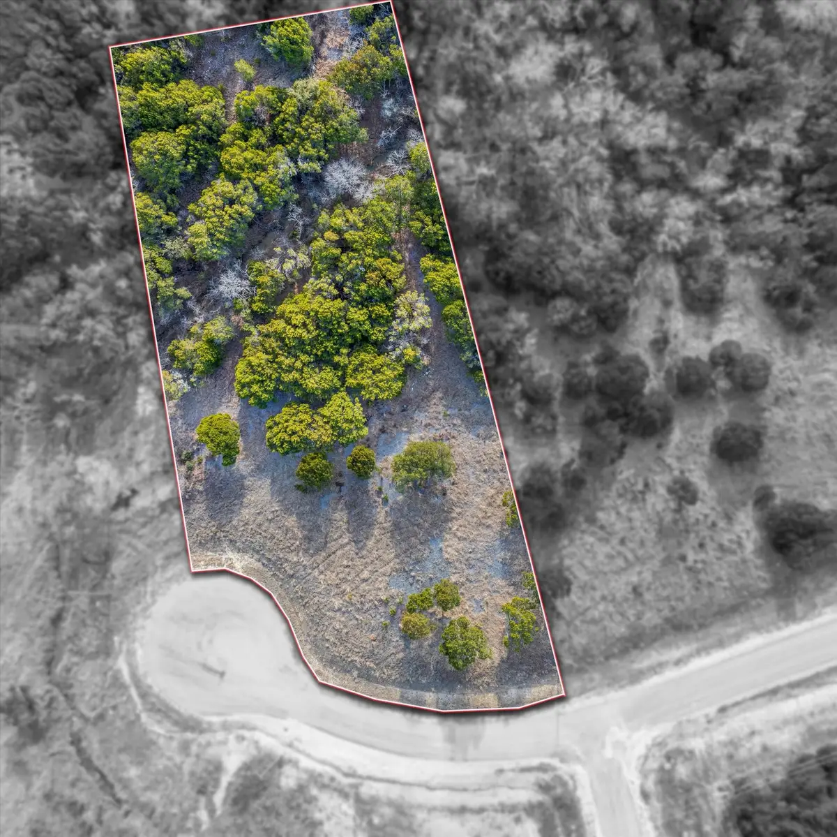 1204 County Road 407a, Nemo, TX 76070 - #1