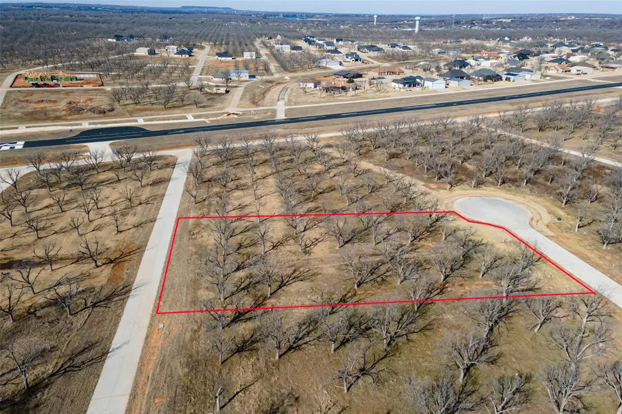 1507 Earhart Drive, Granbury, TX 76049 - Image #2