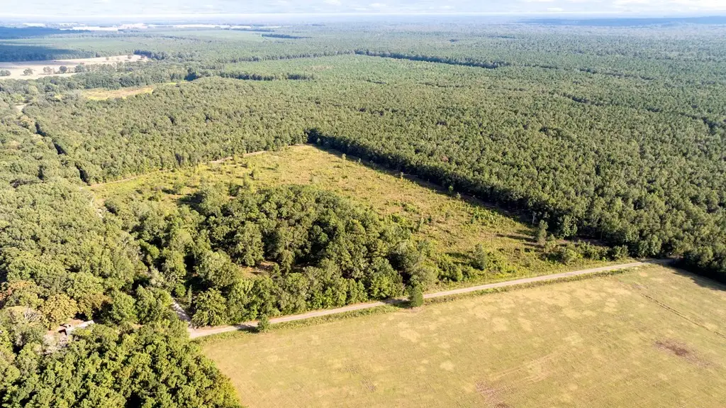 0 County Road 4223, Simms, TX 75574 - Image #1