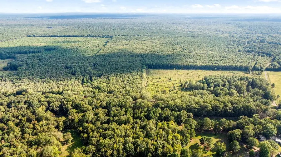 0 County Road 4223, Simms, TX 75574 - Image #2