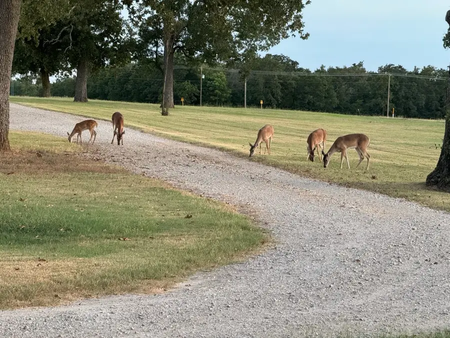 9748 County Road 1200, Athens, TX 75751 - #3