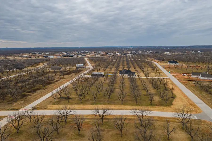 1201 Mooney Drive, Granbury, TX 76049 - #3