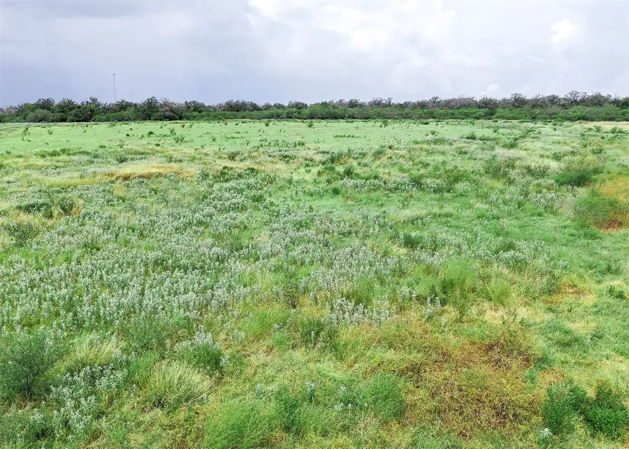 956 Johnson Farms Road, Harwood Ottine, TX 78632 - #3