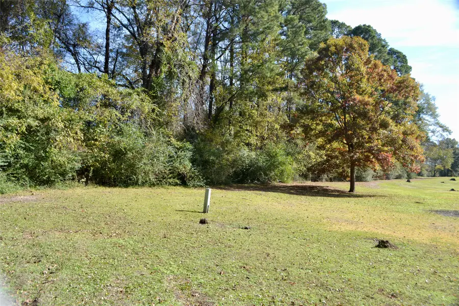 Tract #2 Long Street, Waskom, TX 75692 - #3