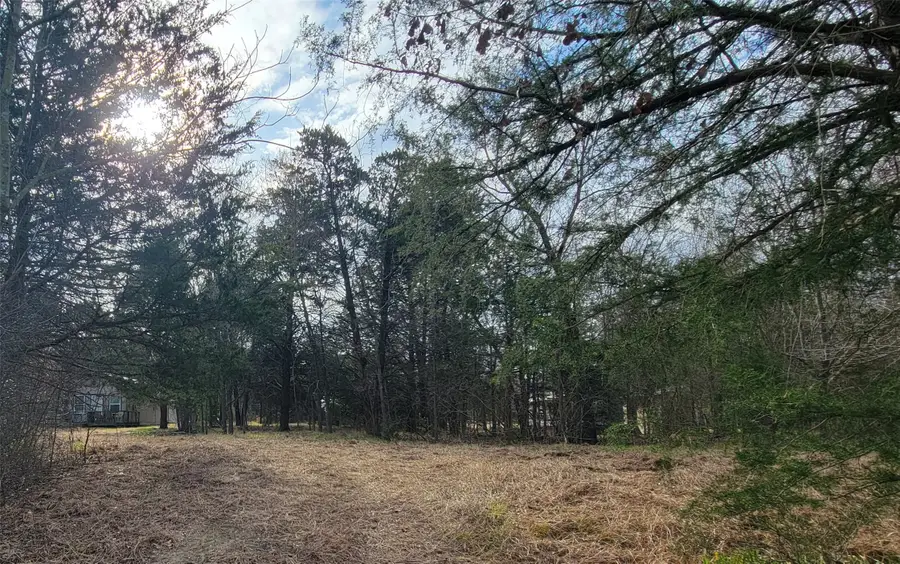 15227 County Road 2370, Streetman, TX 75859 - #3