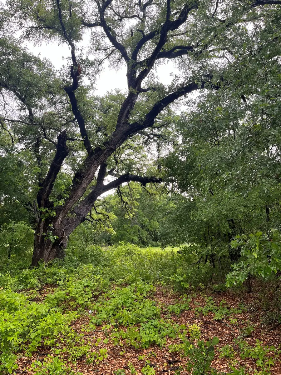 213 Pr 1743b, Clifton, TX 76634 - #3