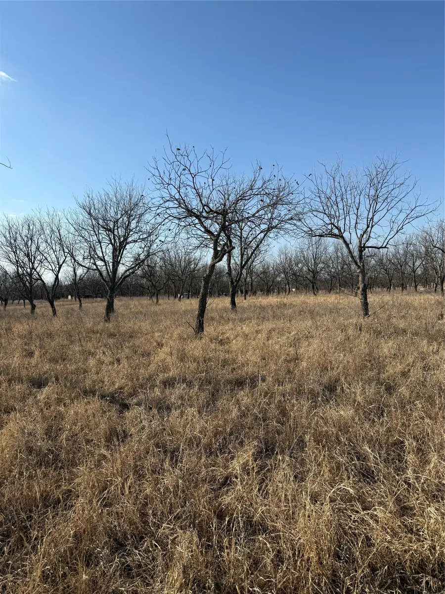 1209 County Road 416, Comanche, TX 76442 - #2