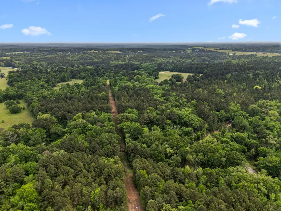 21360 County Road 294, Arp, TX 75750 - #3