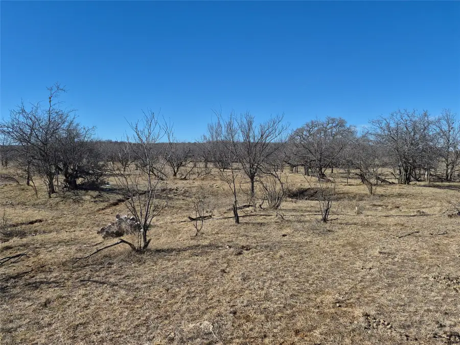 474 White Rose Road, Graham, TX 76450 - #2