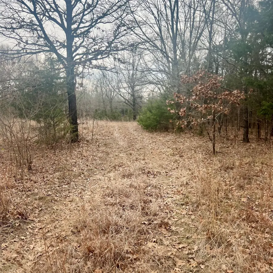 TBD County Road 4574 #13743, Sulphur Springs, TX 75482 - #2