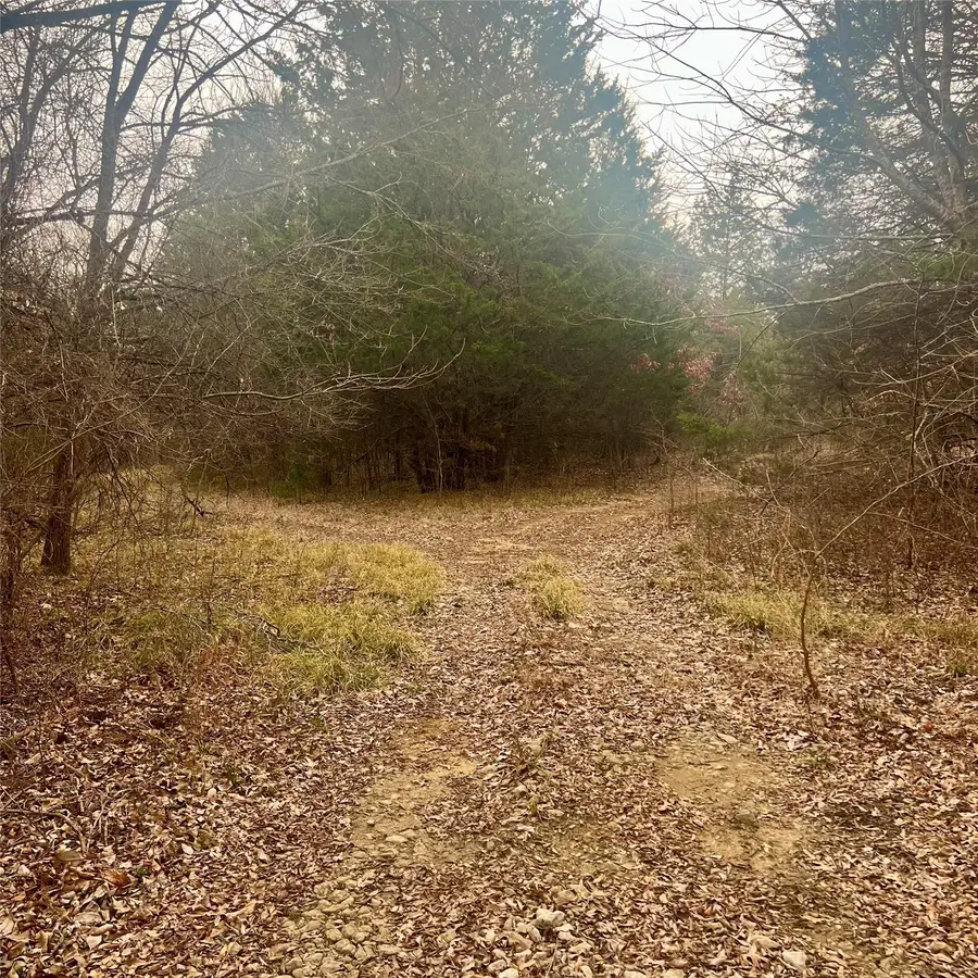 TBD County Road 4574 #13743, Sulphur Springs, TX 75482 - #3