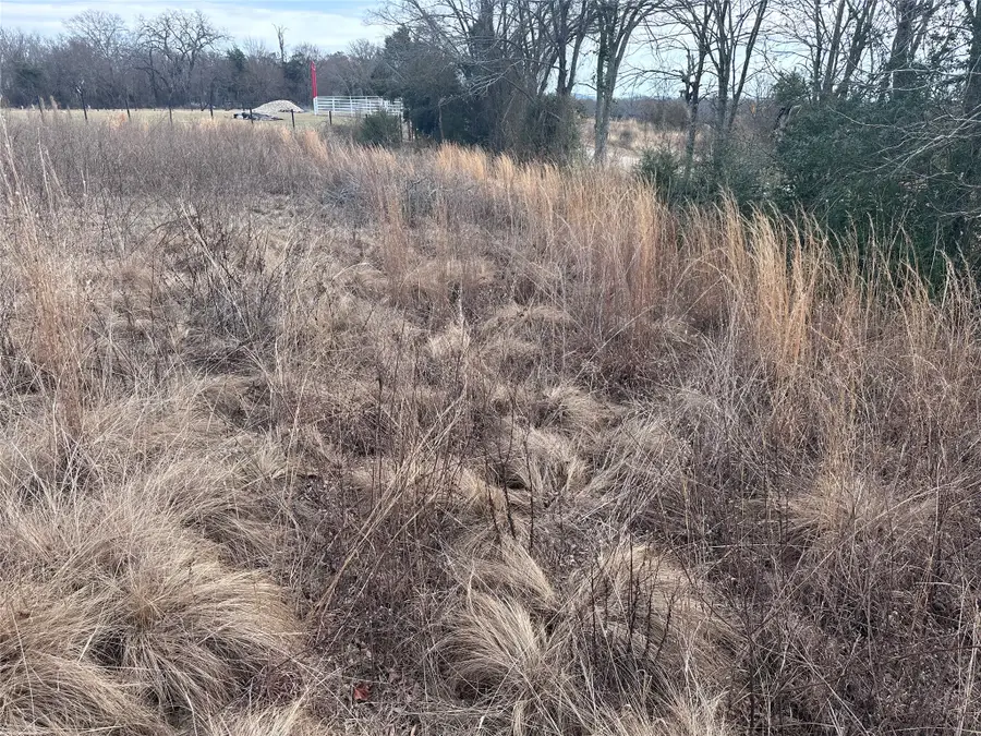 TBD Cr 4402, Larue, TX 75770 - #2