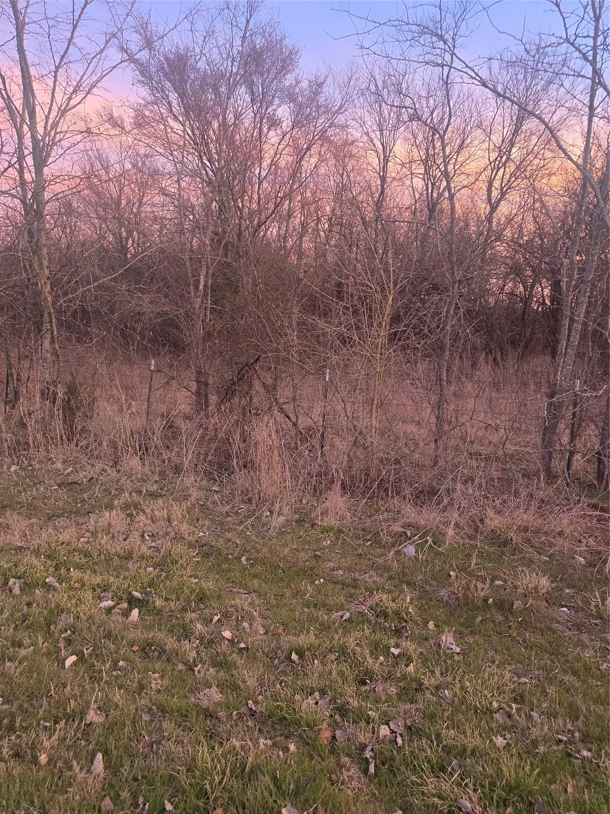 182 Shady Lane, Gordonville, TX 76245 - #1