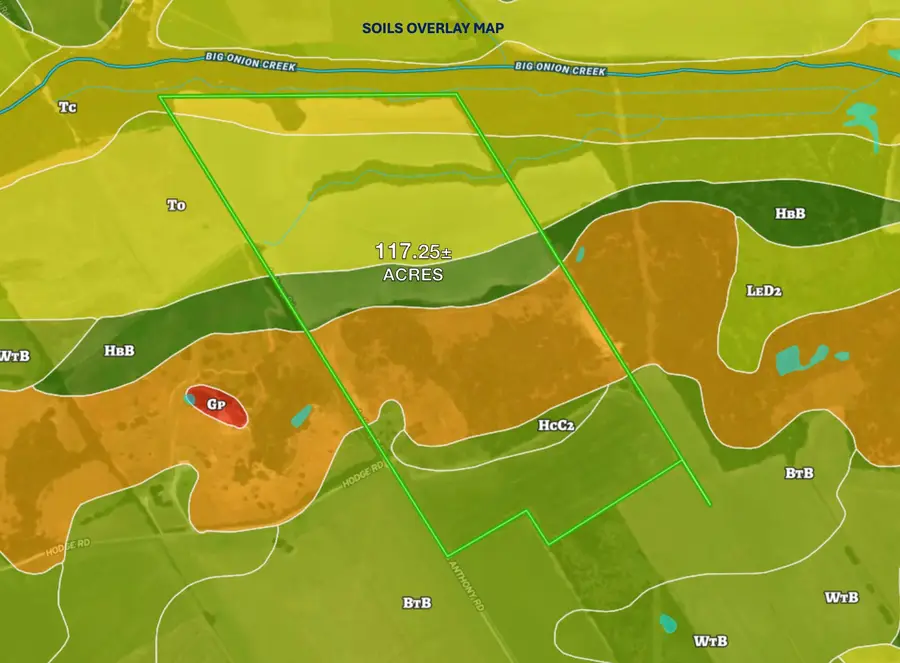 TBD 117 acres S Anthony Road, Ennis, TX 75119 - #2