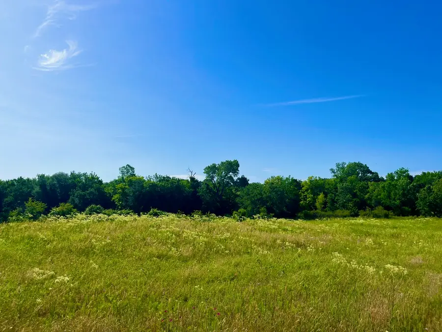 Lot 69 Kilkenny Road, Poolville, TX 76487 - #2