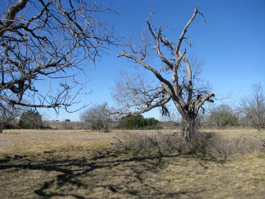 TBD lot 4 Old Pidcoke Road, Gatesville, TX 76528 - #2