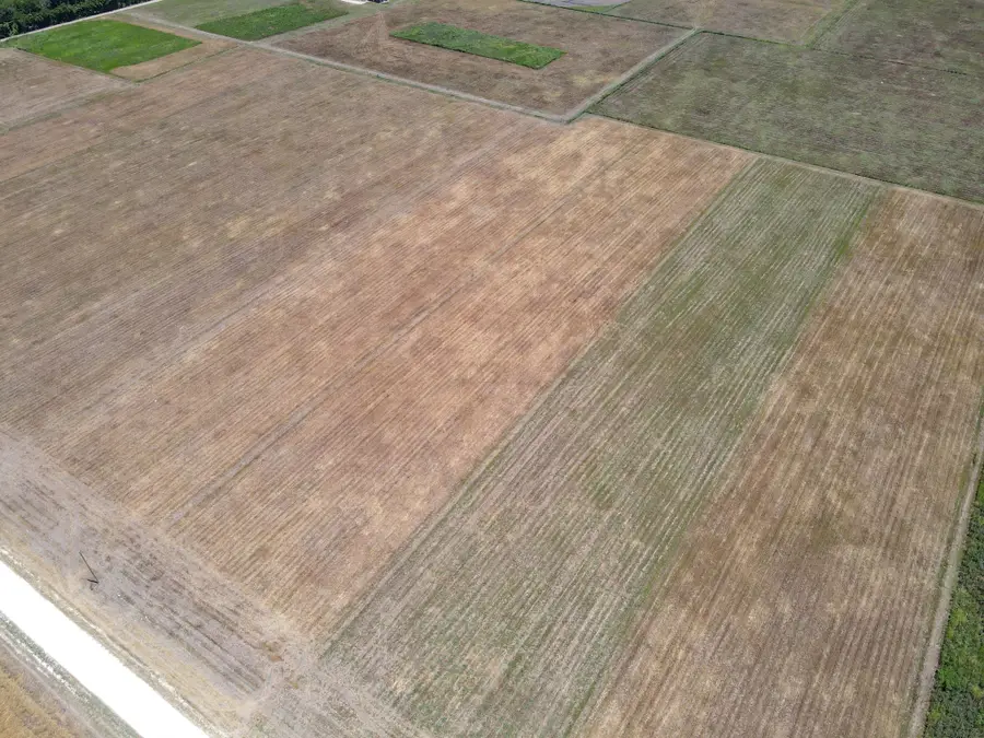 9141 County Road 101a, Grandview, TX 76050 - #2