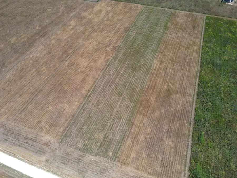 9141 County Road 101a, Grandview, TX 76050 - #3