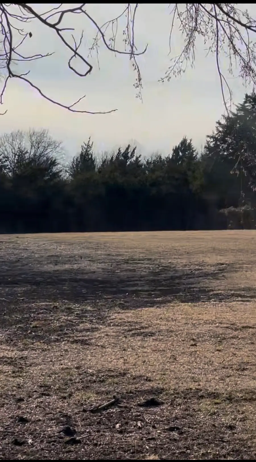 295 Oakwood Drive, Lancaster, TX 75146 - Image #2