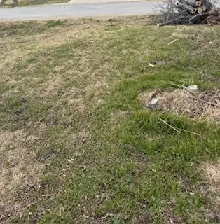 S40 - 20 3 ORR 0.069 ACRE Ash Street, Ellis, TX 75125 - #3