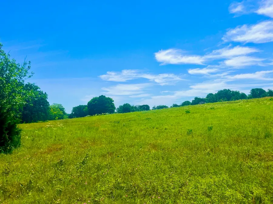 Lot 102 Arlow Road, Poolville, TX 76487 - #3